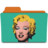 warhol marilyn Icon